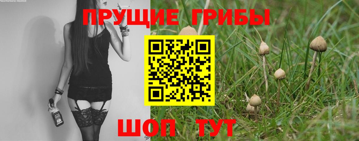 Галлюциногенные грибы прущие грибы Крымск